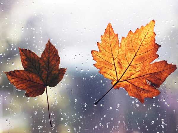 Come-pulire-porte-e-finestre-modena-bologna